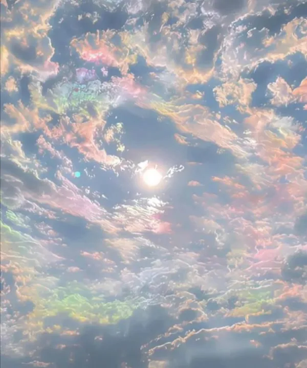 作品展示圖片 2