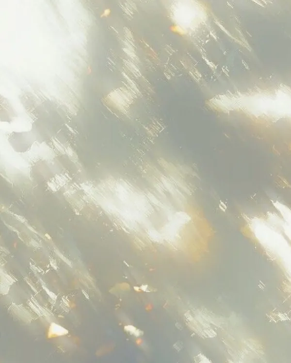 作品展示圖片 4