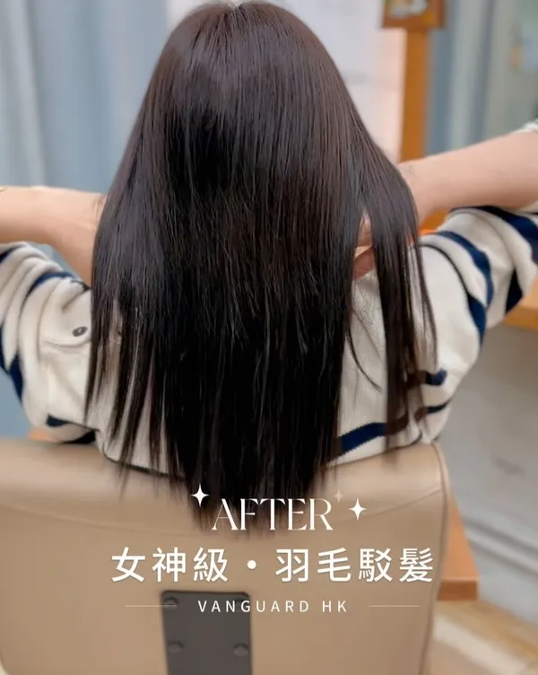 作品展示圖片 8