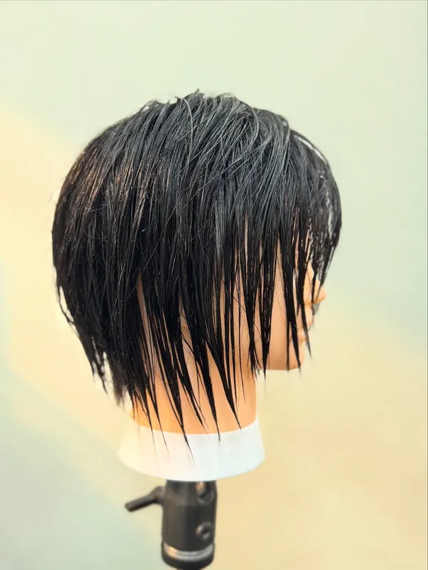 作品展示圖片 1