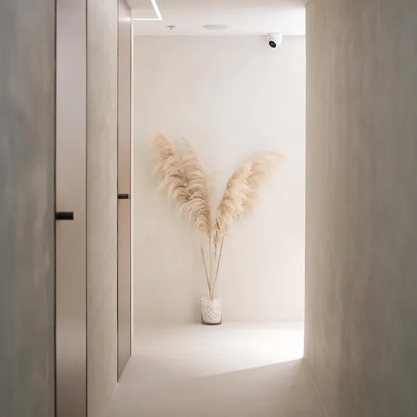 作品展示圖片 5