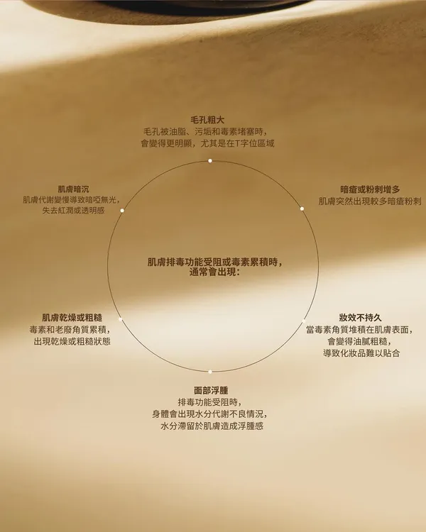 作品展示圖片 3