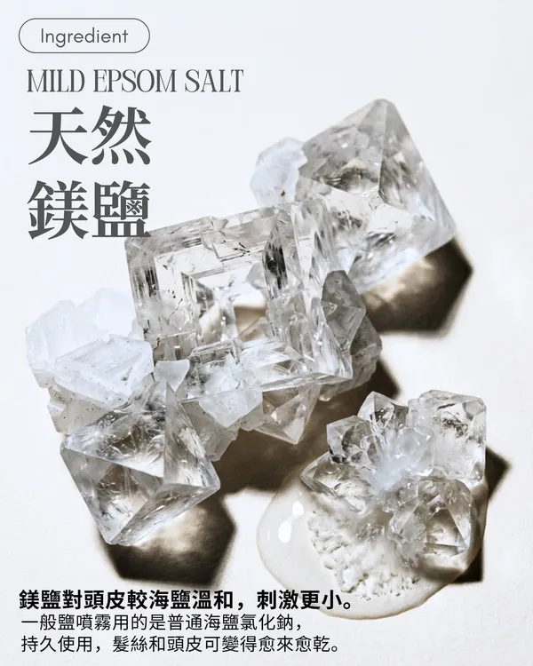 作品展示圖片 2