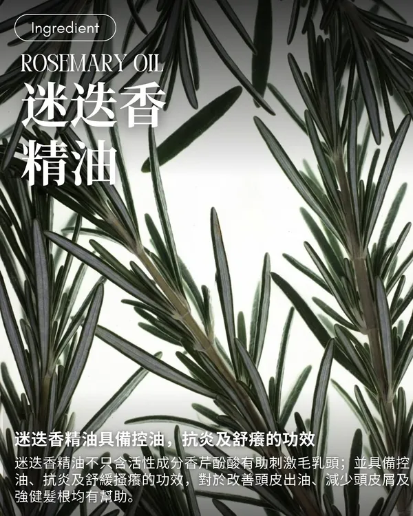作品展示圖片 3