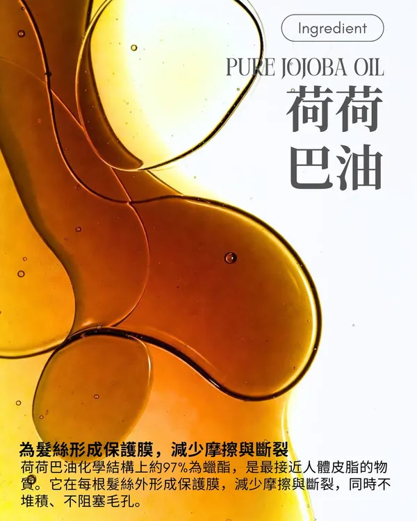 作品展示圖片 4