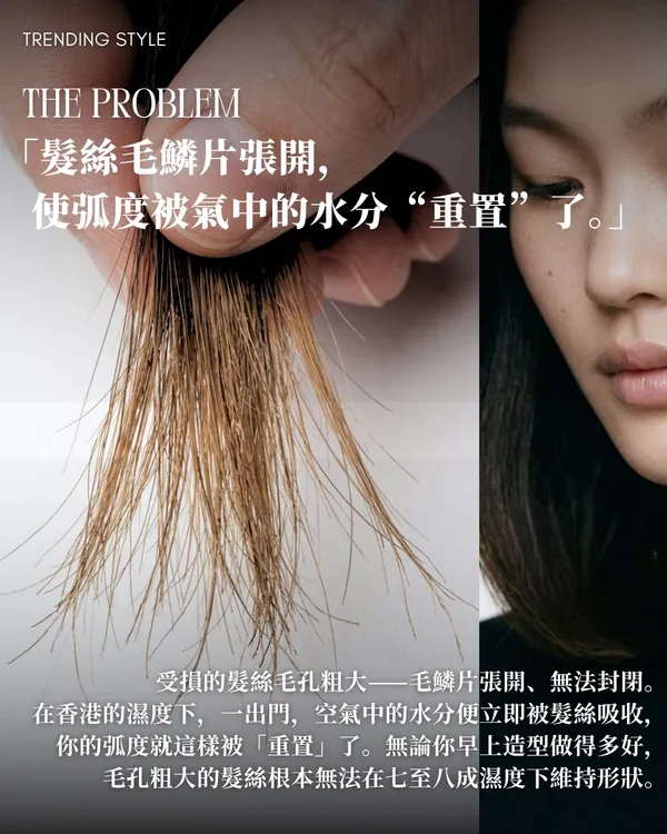 作品展示圖片 3