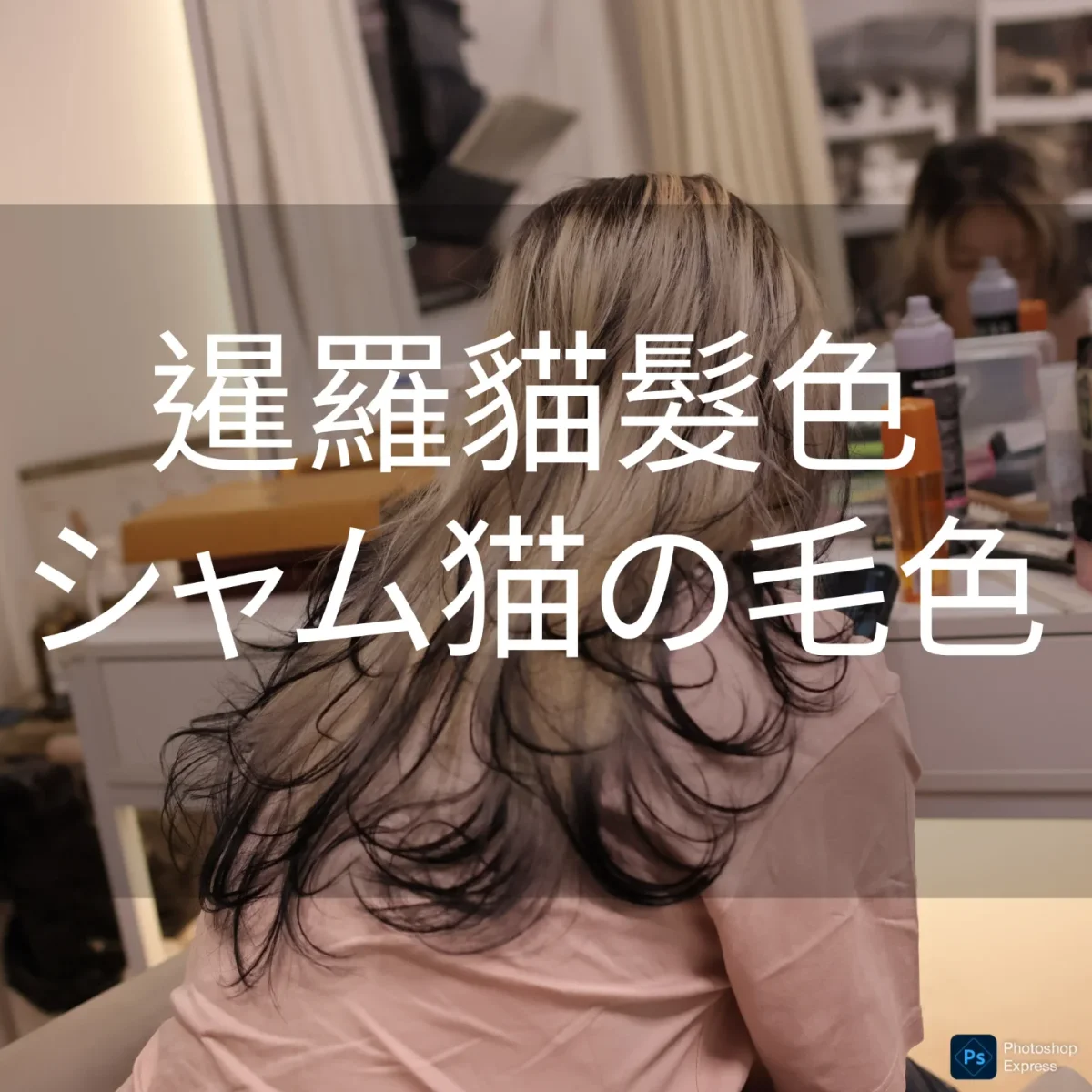 作品展示圖片 1