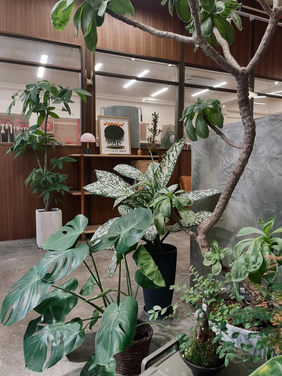 作品展示圖片 2