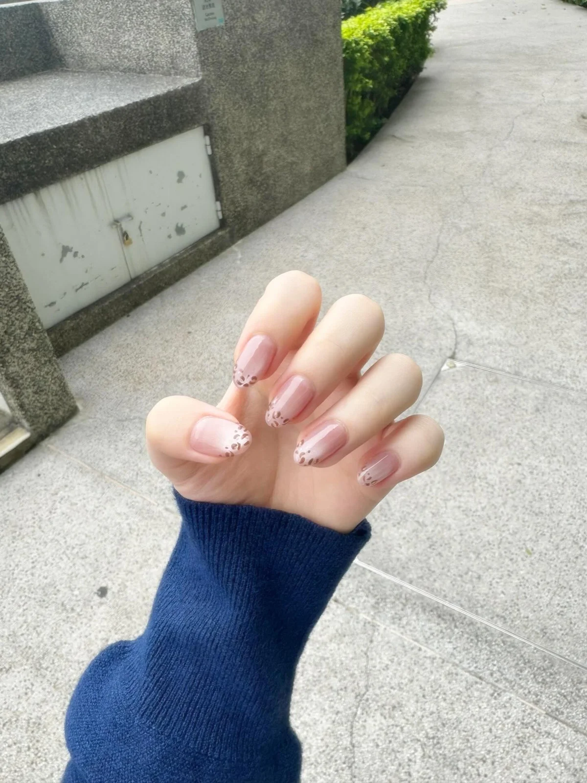 作品展示圖片 1