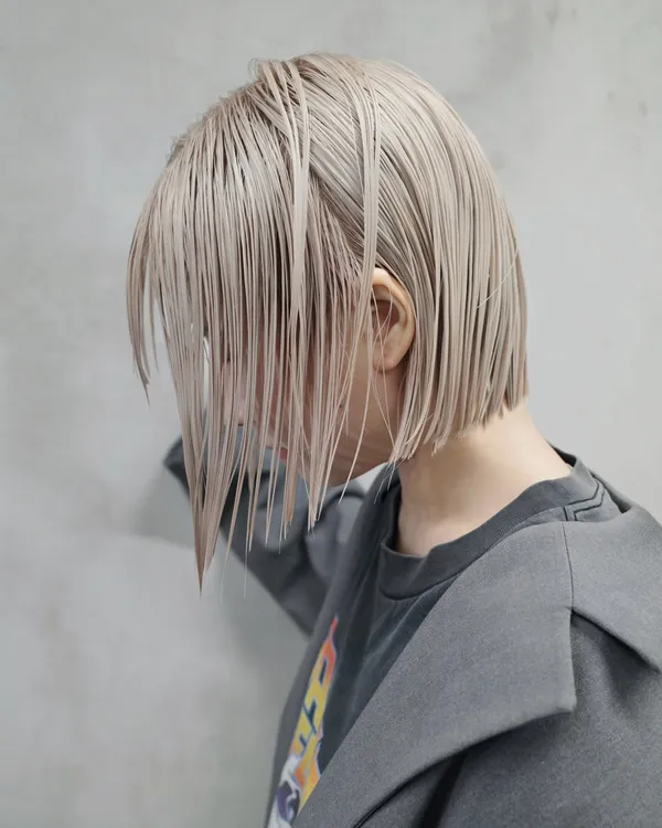 作品展示圖片 1