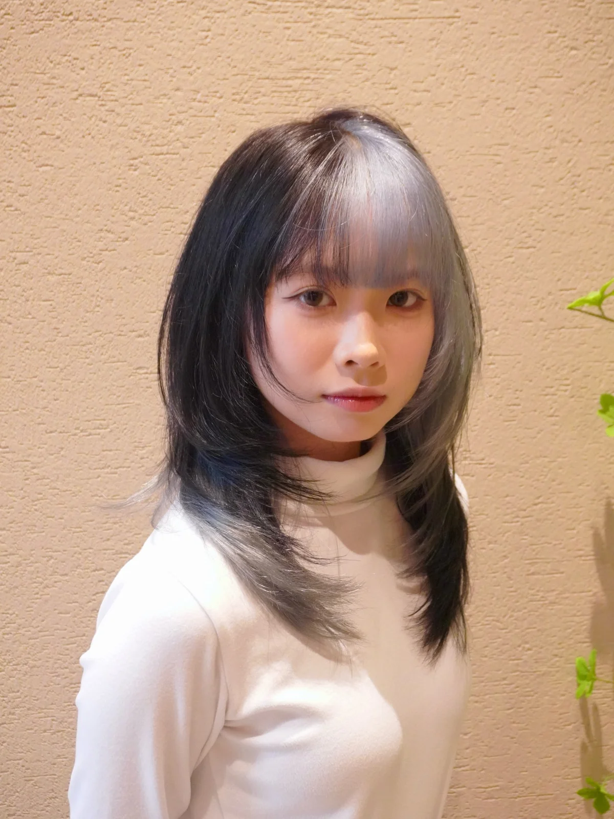 作品展示圖片 2