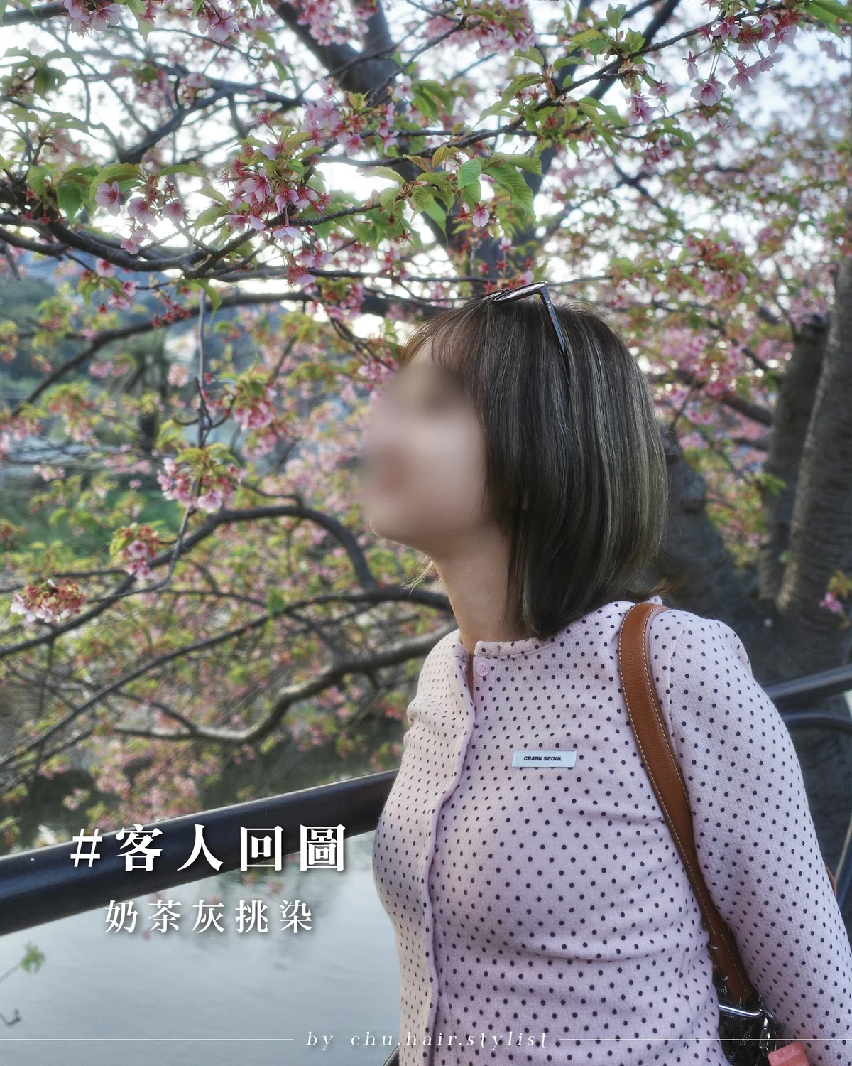 作品展示圖片 1