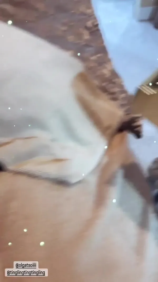 showcase-6a201f41fbc045ba8bd1a910