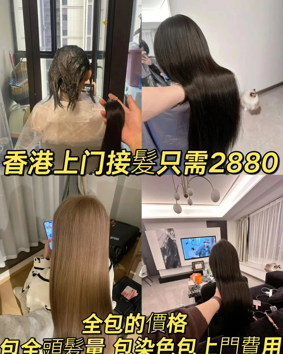 作品展示圖片 2