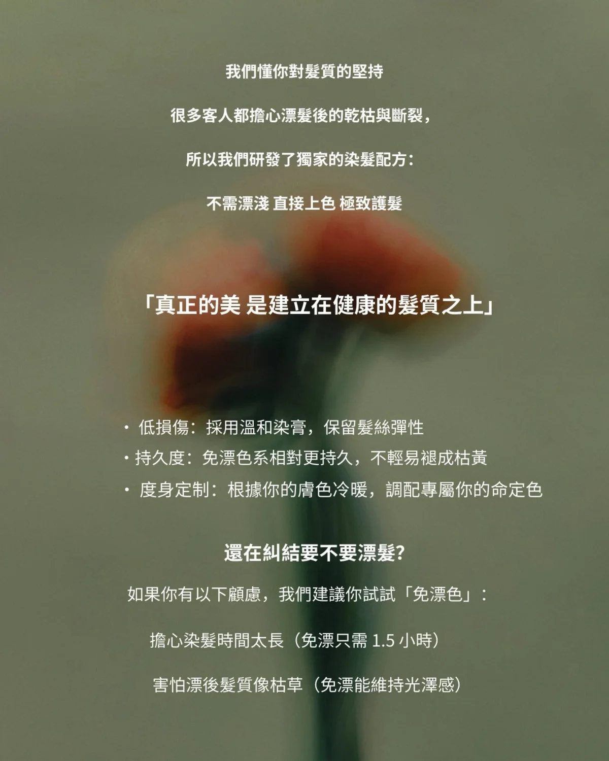 作品展示圖片 7