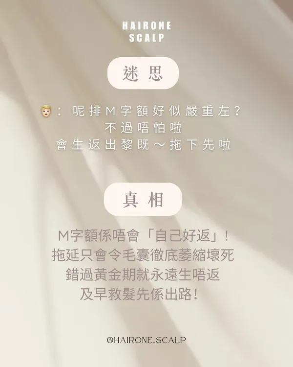 作品展示圖片 2