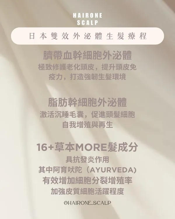 作品展示圖片 4