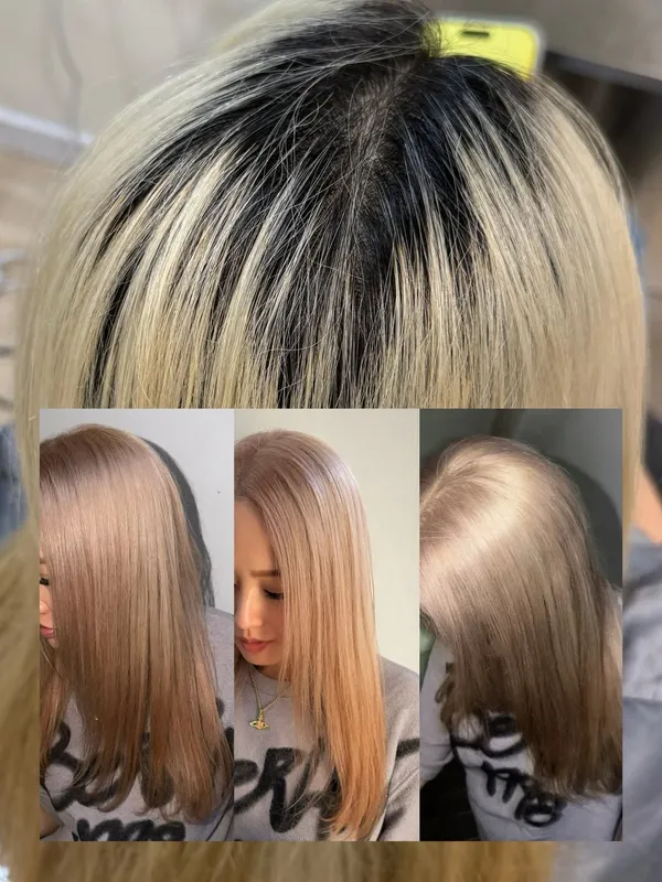 作品展示圖片 2