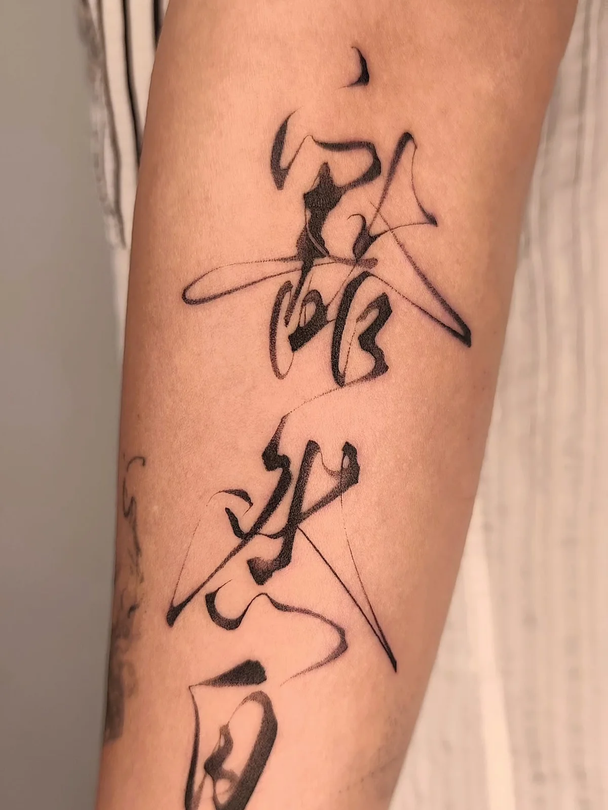 作品展示圖片 2