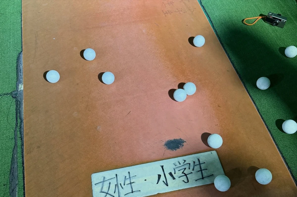 作品展示圖片 9