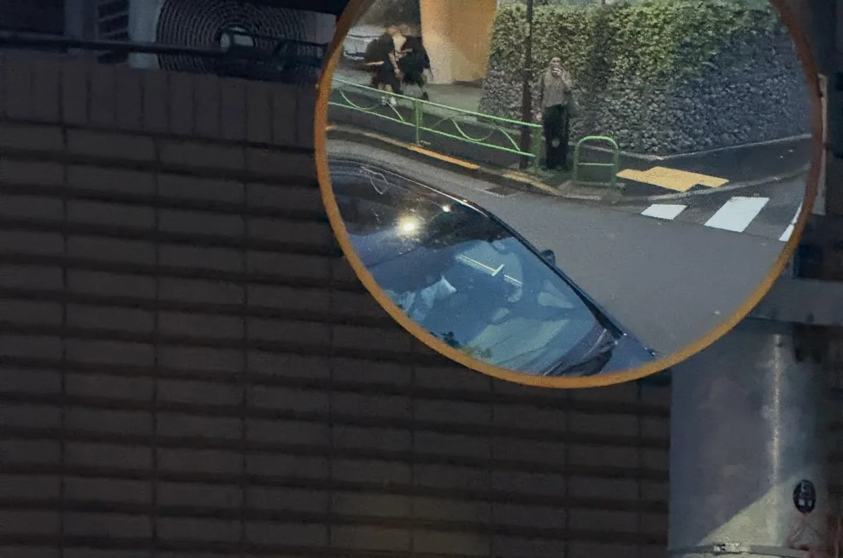 作品展示圖片 13