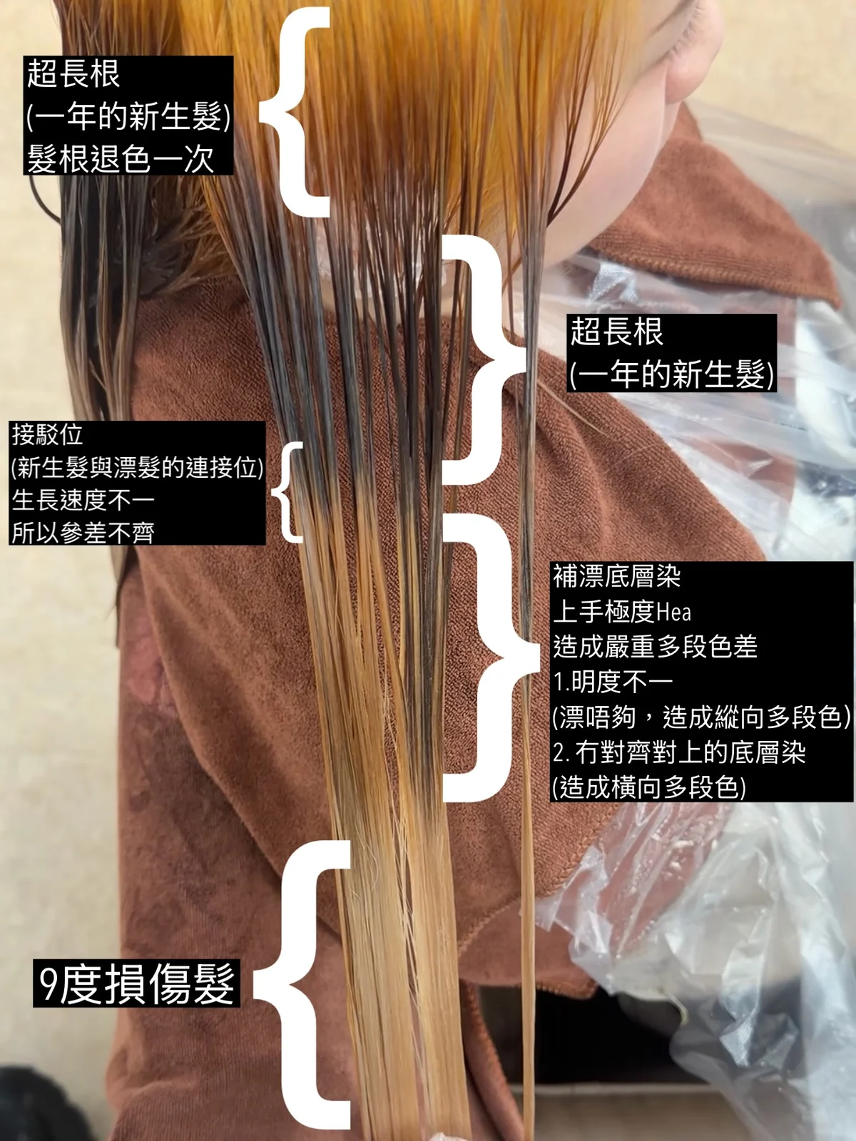 作品展示圖片 1