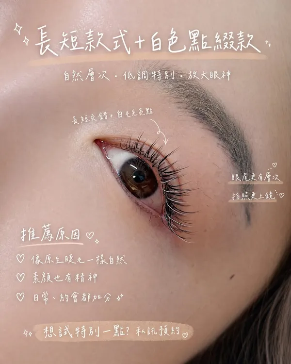 作品展示圖片 1
