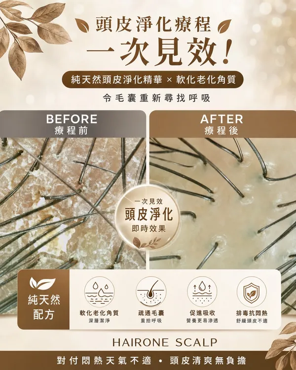 作品展示圖片 1