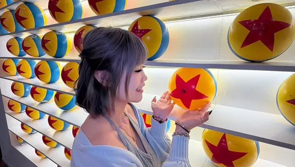 作品展示圖片 10