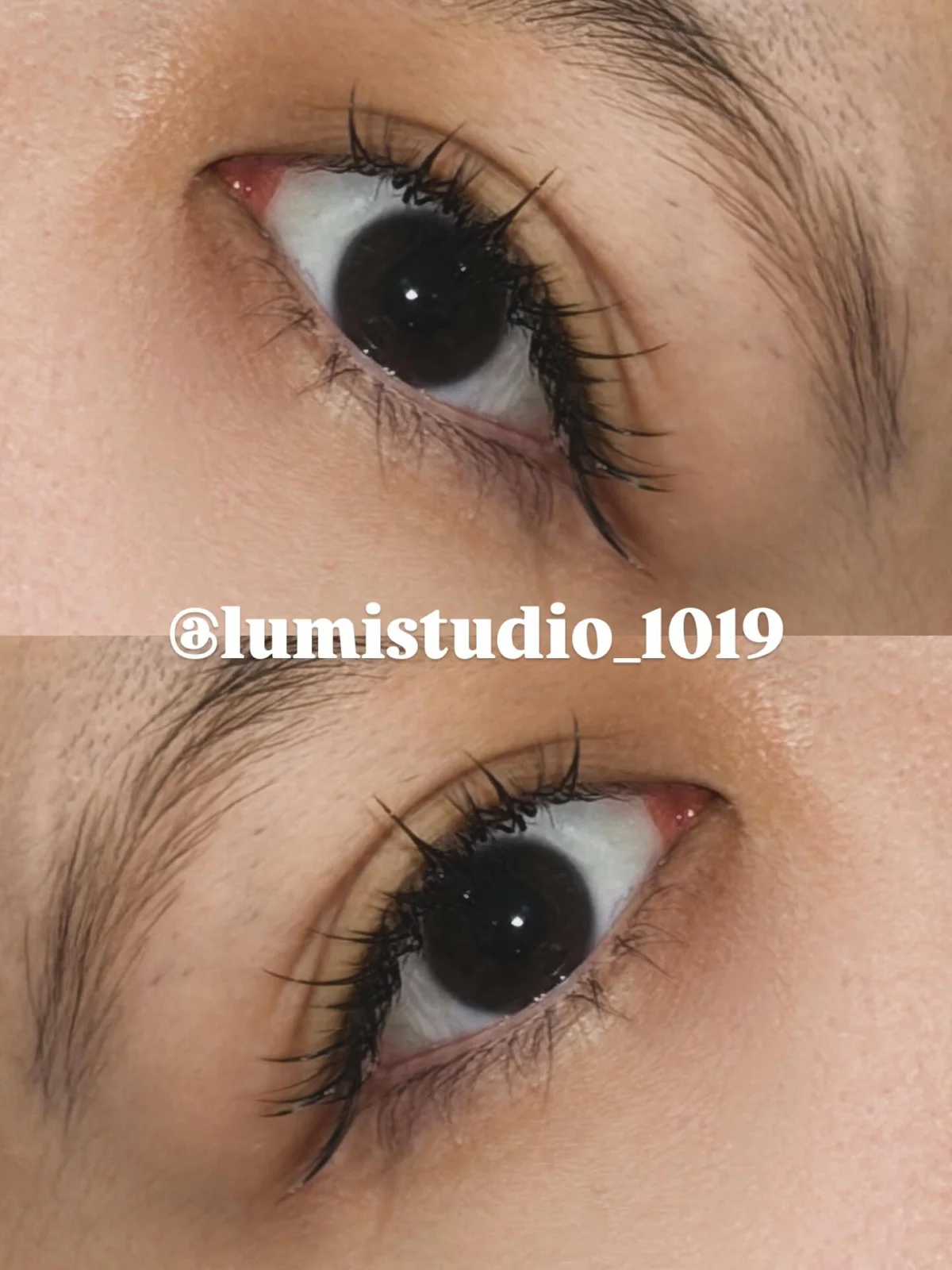 作品展示圖片 1