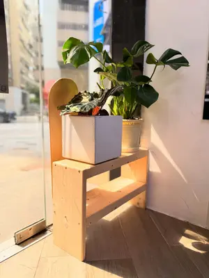 showcase-6a5e329c93f421fd84847cc4